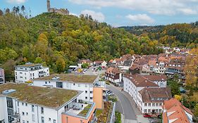 Lit Living Weinheim Altstadt - Boutique Apartments - Parking